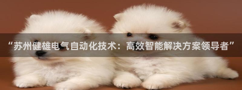 凯发娱乐官方网