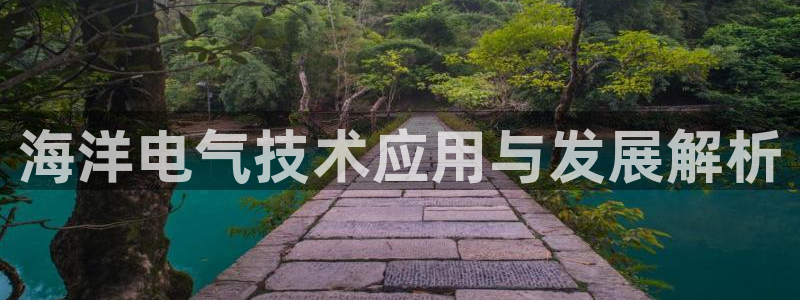 凯发k8娱乐欢迎您：海洋电气技术应用与发展解析