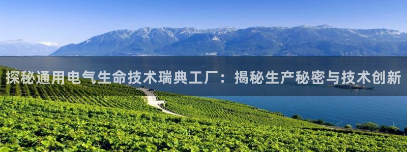 凯发国际平台首页：探秘通用电气生命技术瑞典工厂：揭