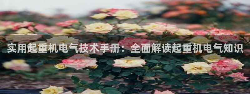 凯发k8娱乐是国内平台?