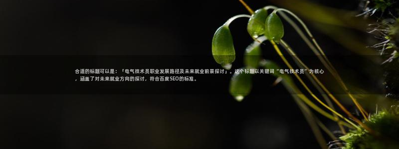 凯发网网站：合适的标题可以是：「电气技术员职业发展