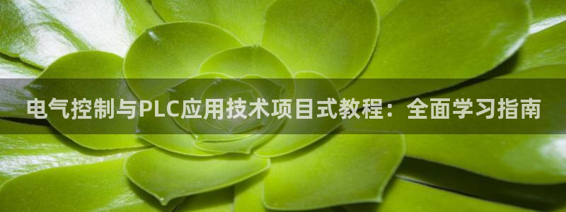 凯发K8登录入口：电气控制与PLC应用技术项目式教