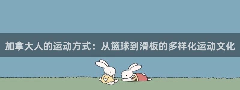 k1体育app下载：加拿大人的运动方式：从篮球到滑板的多样化运动文化