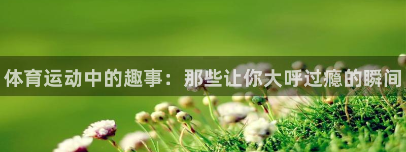 k1体育平台下载：体育运动中的趣事：那些让你大呼过瘾的瞬间
