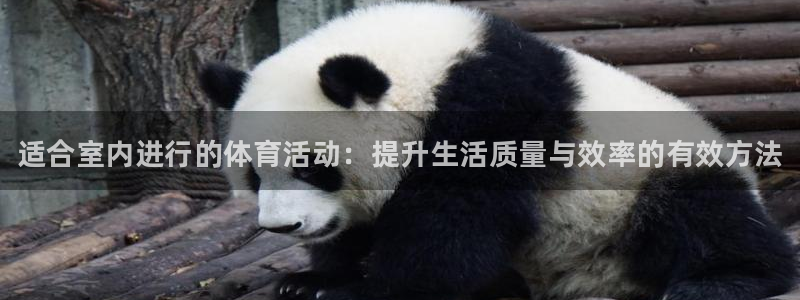k1体育网址是多少：适合室内进行的体育活动：提升生活质量与效率的有效方法