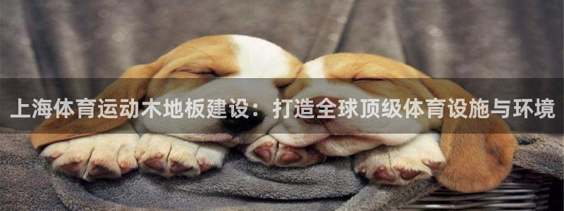 k1体育棋牌网址：上海体育运动木地板建设：打造全球顶级体育设施与环境