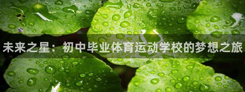 k1体育链接