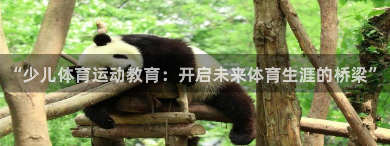 k1体育链接多少：“少儿体育运动教育：开启未来体育生涯的桥梁”