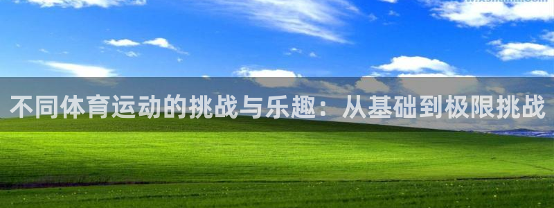 k1体育app：不同体育运动的挑战与乐趣：从基础到极限挑战