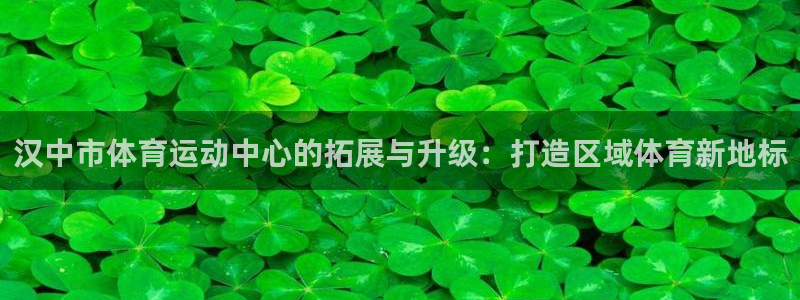 k1体育入口：汉中市体育运动中心的拓展与升级：打造区域体育新地标