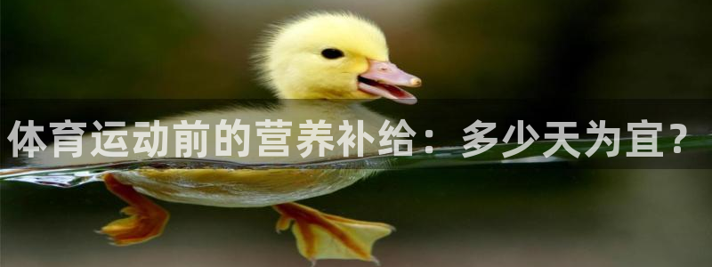k1体育平台最新网站下载：体育运动前的营养补给：多少天为宜？