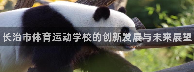 k1体育娱乐：长治市体育运动学校的创新发展与未来展望
