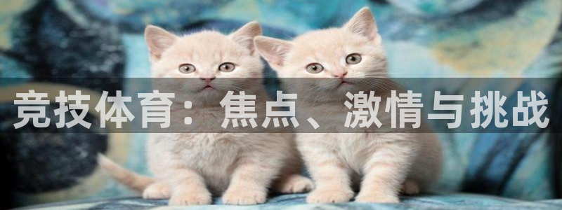 k1体育棋牌网址：竞技体育：焦点、激情与挑战