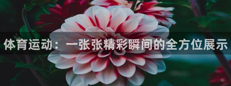 k1体育app下载：体育运动：一张张精彩瞬间的全方位展示