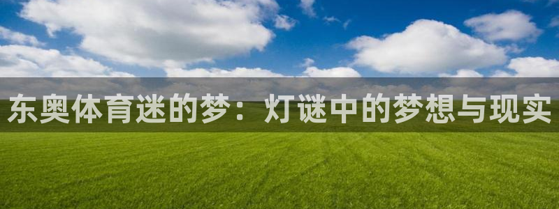 k1体育app：东奥体育迷的梦：灯谜中的梦想与现实