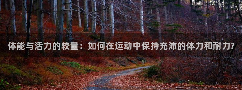 k1体育网址是多少