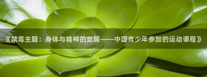 k1体育十年品牌值得信赖网址：《禁毒主题：身体与精神的觉醒——中国青少年参加的运动课程》