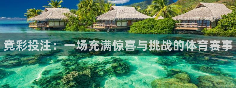 k1体育平台最新网站下载：竞彩投注：一场充满惊喜与挑战的体育赛事