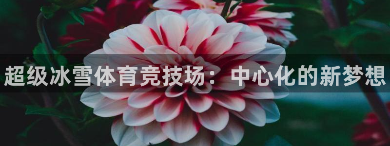 k1体育网址是多少：超级冰雪体育竞技场：中心化的新梦想