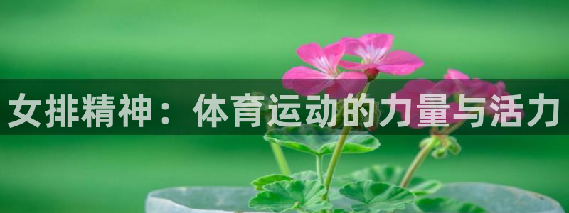 k1体育网址：女排精神：体育运动的力量与活力