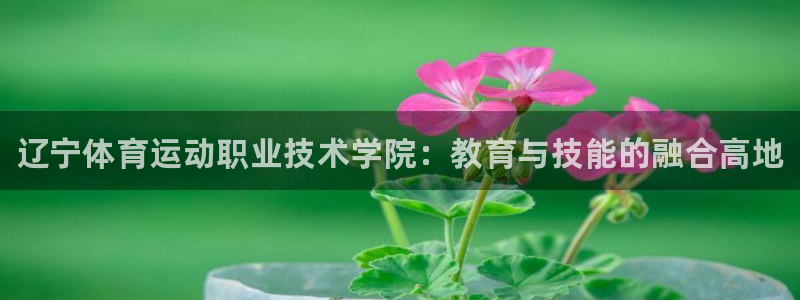 k1体育十年登录入口：辽宁体育运动职业技术学院：教育与技能的融合高地