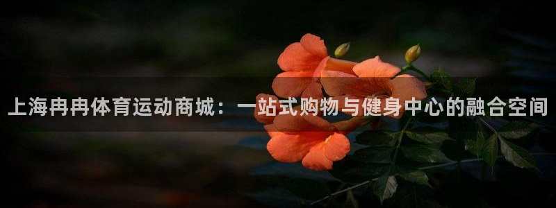 k1体育链接：上海冉冉体育运动商城：一站式购物与健身中心的融合空间