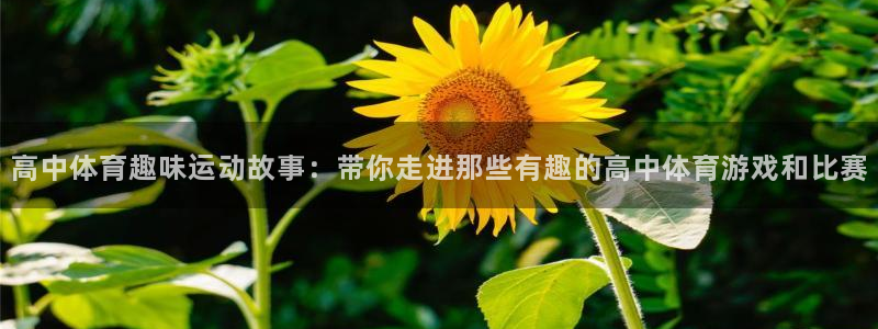 k1体育链接：高中体育趣味运动故事：带你走进那些有趣的高中体育游戏和比赛