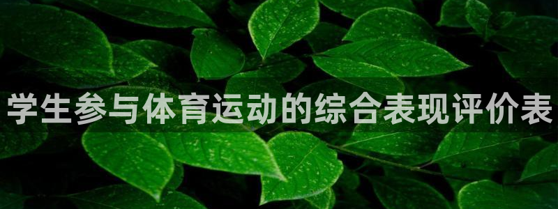 k1体育网址：学生参与体育运动的综合表现评价表