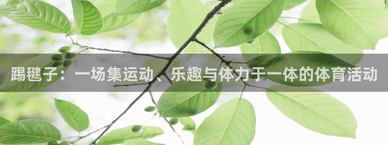 k1体育app下载：踢毽子：一场集运动、乐趣与体力于一体的体育活动