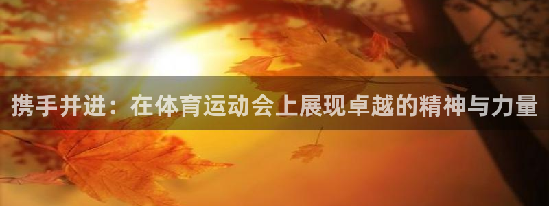 k1体育娱乐：携手并进：在体育运动会上展现卓越的精神与力量