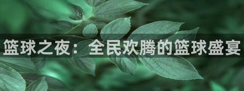 k1体育app官网登录入口：篮球之夜：全民欢腾的篮球盛宴