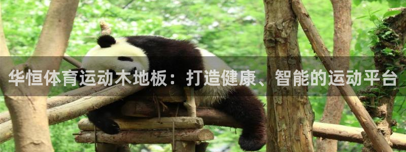 k1体育十年品牌：华恒体育运动木地板：打造健康、智能的运动平台